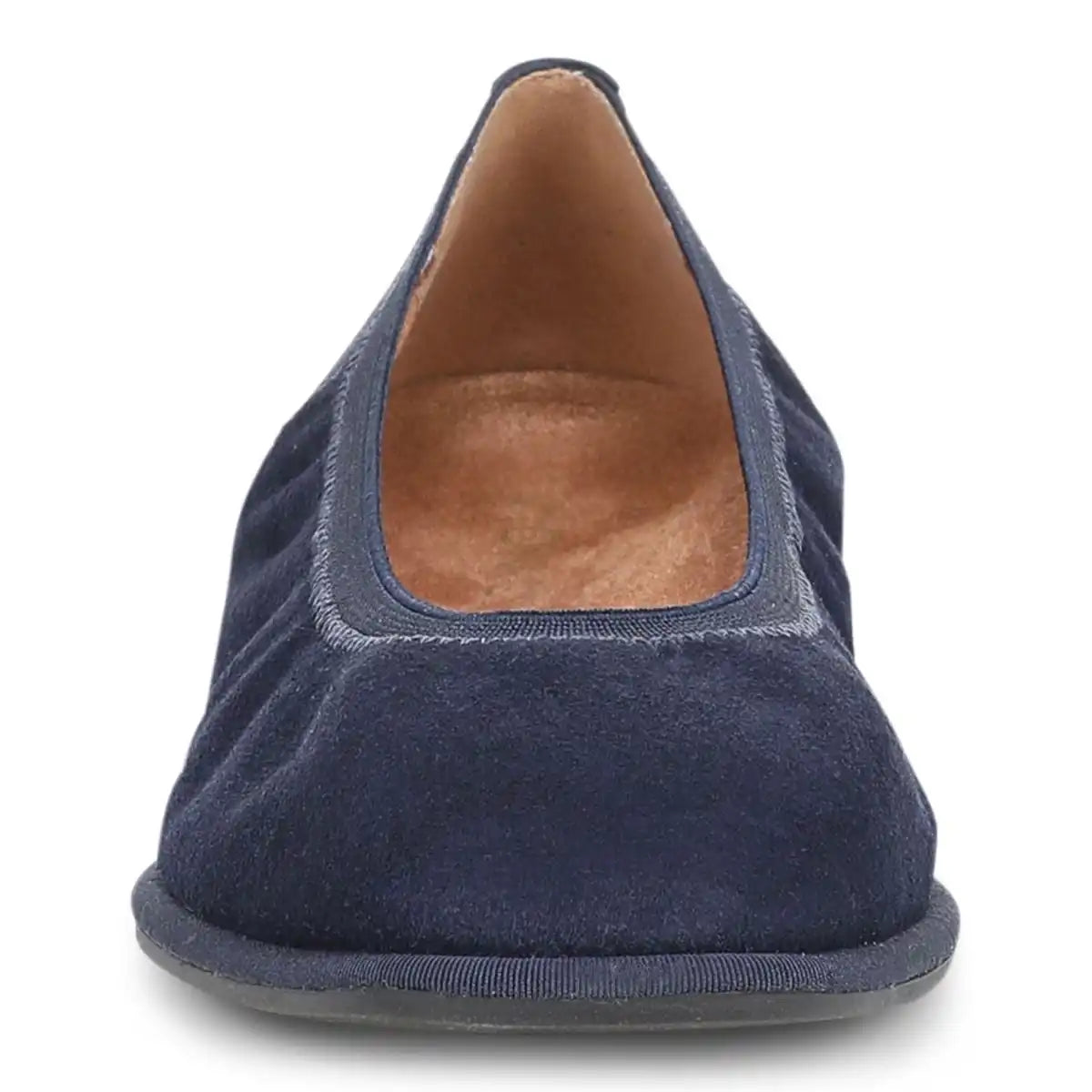 Caroll 2.0 Ballet Flat Navy Blazer Suede