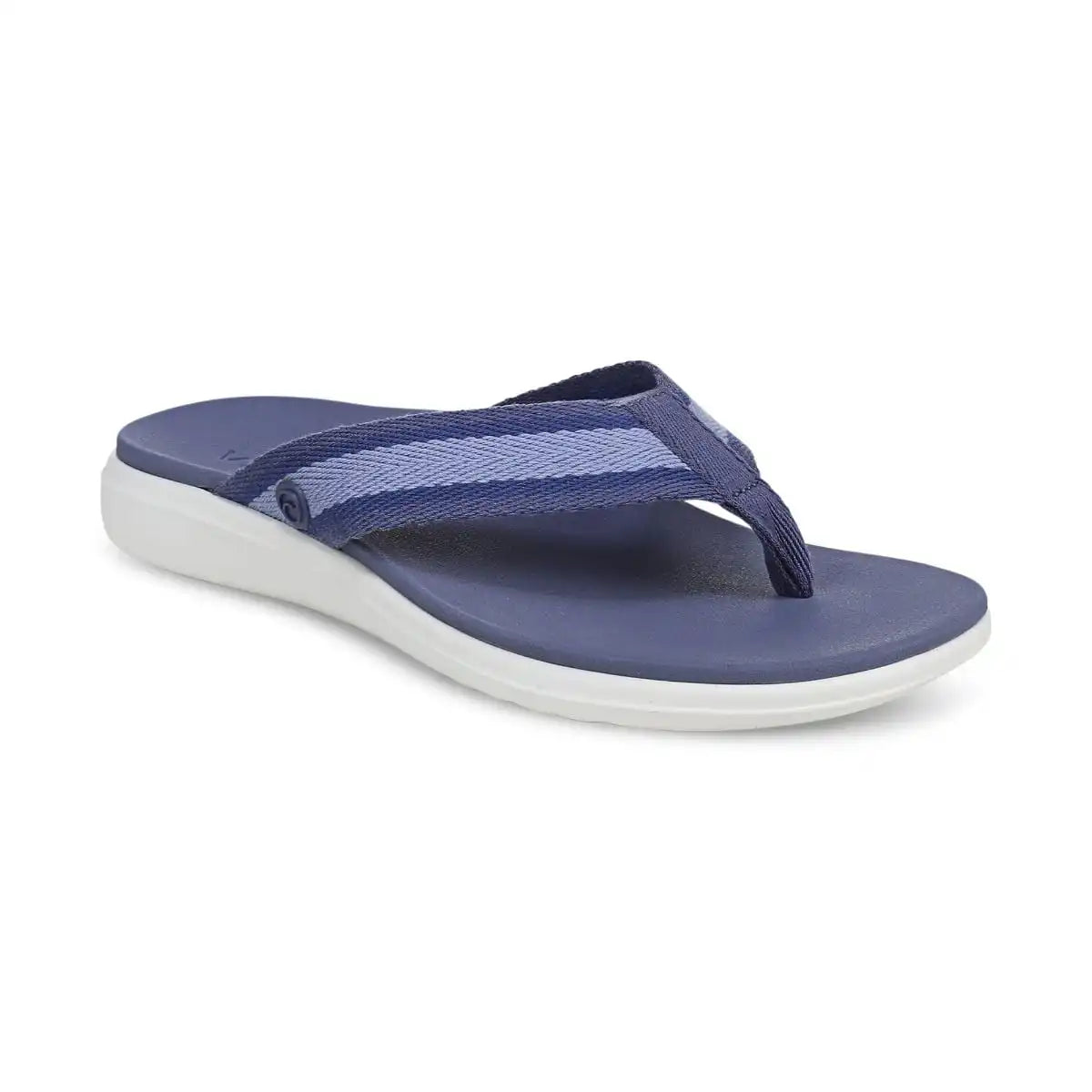 Beach Indigo Toe Post Sandal Marlin Blue Multi