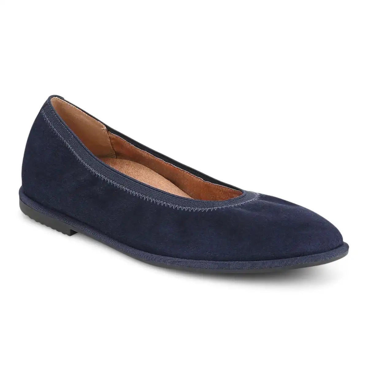 Caroll 2.0 Ballet Flat Navy Blazer Suede